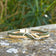 Bracelet Infinity en liège naturel et vert, noeud infini argenté, posé sur pierre — Cork Colors, Portugal