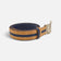 Ceinture en liège à plat côté bleu nuit, boucle métal brossé