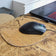 Tapis de souris ergonomique en liège, souris noire posée — Montado, bureau, Portugal