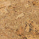 Texture rapprochée ton miel, grain fin et veinage naturel du liège, épaisseur 3 mm